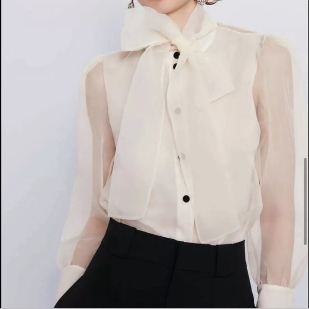 Zara Cream Organza Top with Black Buttons